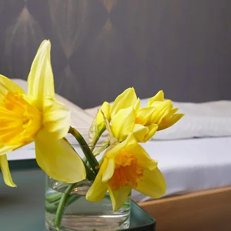 Weinstockwerk St Peter فندق