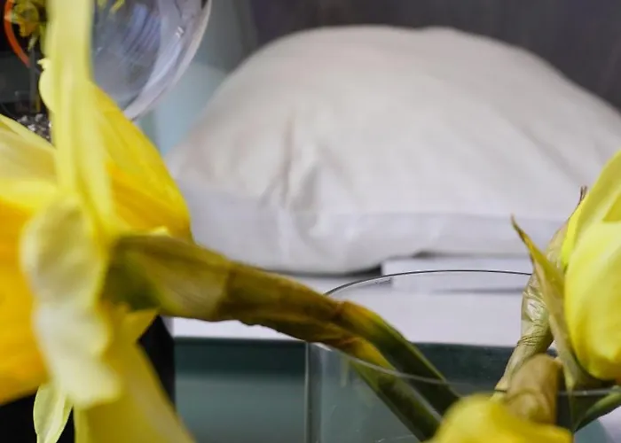 Weinstockwerk St Peter Hotel Nürnberg